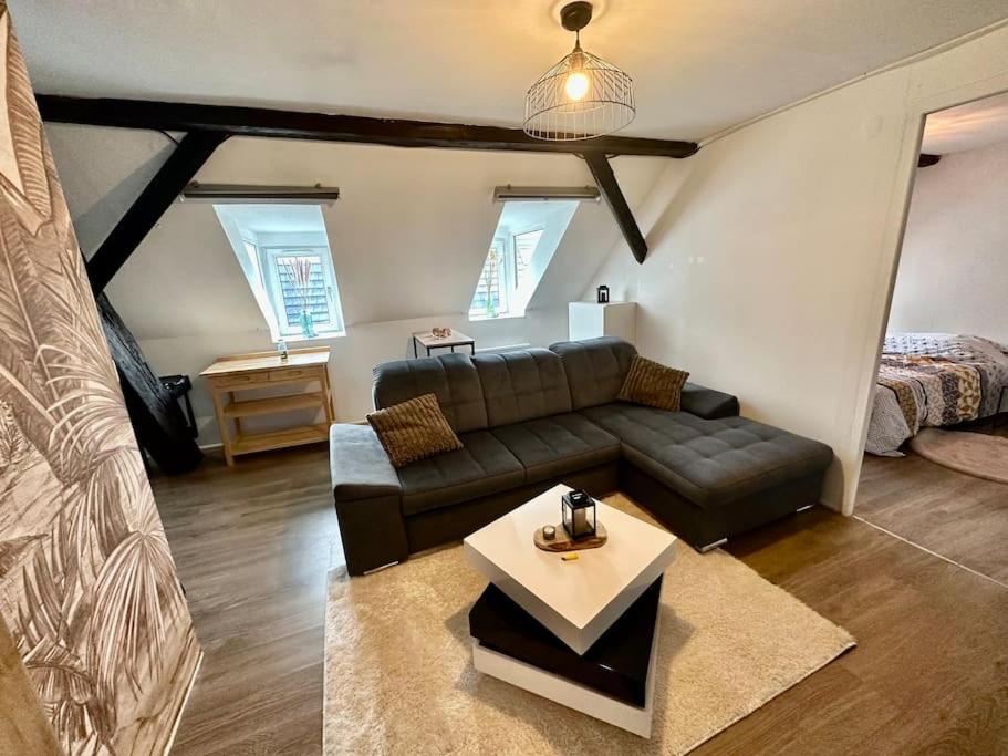 Logement Entier Au Coeur De Strasbourg Ngoại thất bức ảnh